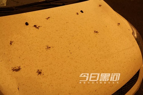 C:\Users\Administrator\Desktop\16.jpg C:\Users\Administrator\Desktop\16.jpg