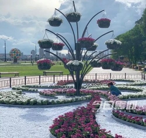 C:\Users\Administrator\Desktop\12.jpg C:\Users\Administrator\Desktop\12.jpg