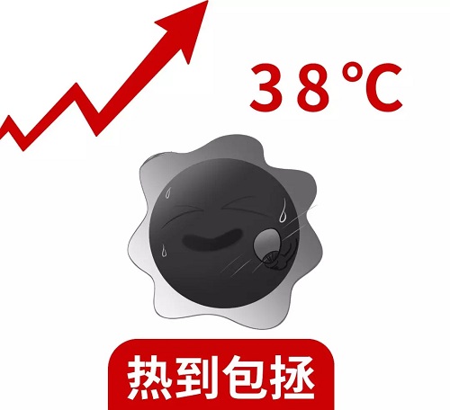 C:\Users\Administrator\Desktop\2.jpg C:\Users\Administrator\Desktop\2.jpg