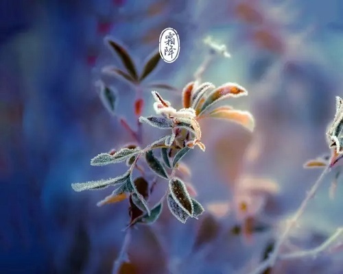 C:\Users\Administrator\Desktop\1.jpg C:\Users\Administrator\Desktop\1.jpg