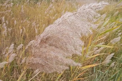 C:\Users\Administrator\Desktop\2.jpg C:\Users\Administrator\Desktop\2.jpg