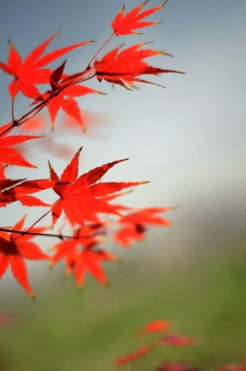 C:\Users\Administrator\Desktop\6.jpg C:\Users\Administrator\Desktop\6.jpg