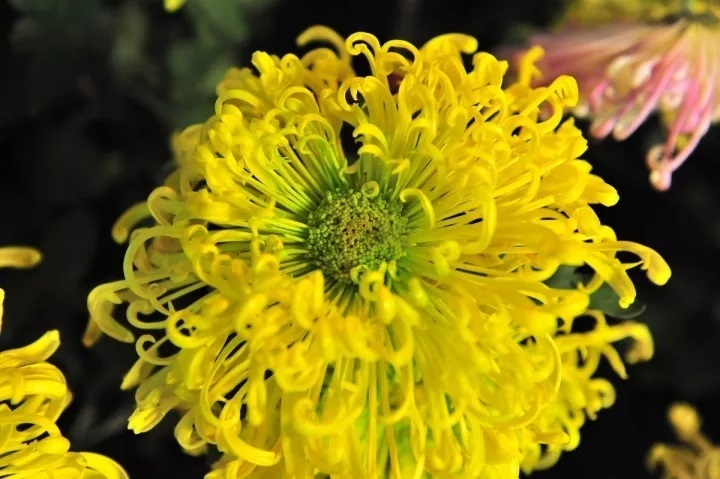 C:\Users\Administrator\Desktop\7.jpg C:\Users\Administrator\Desktop\7.jpg