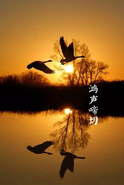 C:\Users\Administrator\Desktop\15.jpg C:\Users\Administrator\Desktop\15.jpg