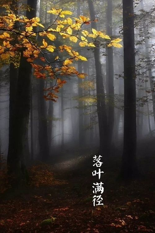 C:\Users\Administrator\Desktop\16.jpg C:\Users\Administrator\Desktop\16.jpg