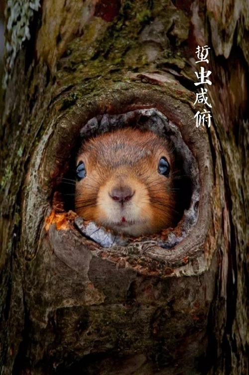 C:\Users\Administrator\Desktop\19.jpg C:\Users\Administrator\Desktop\19.jpg