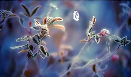 C:\Users\Administrator\Desktop\21.jpg C:\Users\Administrator\Desktop\21.jpg